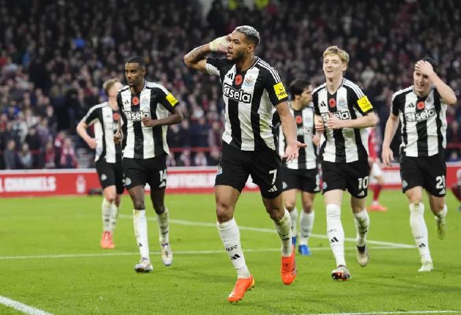 Nhận định, soi k&egrave;o Ipswich Town vs Newcastle, 22h00 ng&agrave;y 21/12: Đả bại t&acirc;n binh