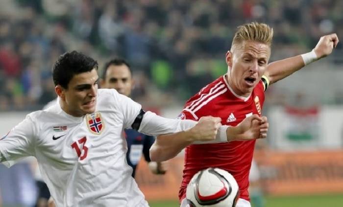 Nhận định, soi k&egrave;o Hungary vs Estonia, 1h30 ng&agrave;y 24/3