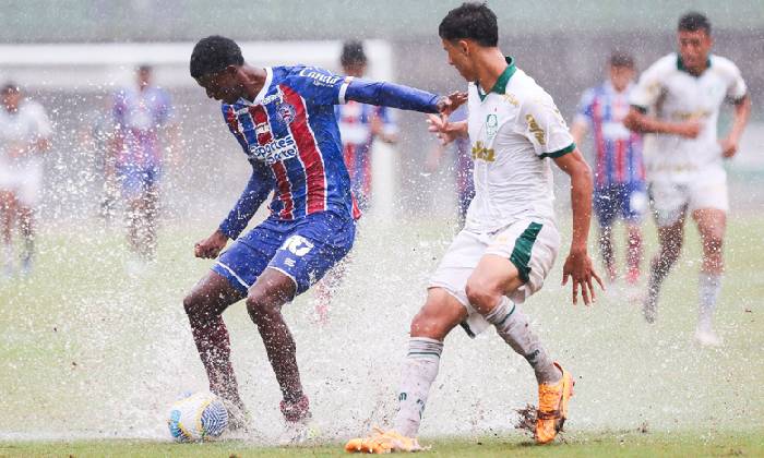 Nhận định, soi k&egrave;o Criciuma vs Bahia, 05h00 ng&agrave;y 24/5: Tạm biệt chủ nh&agrave;