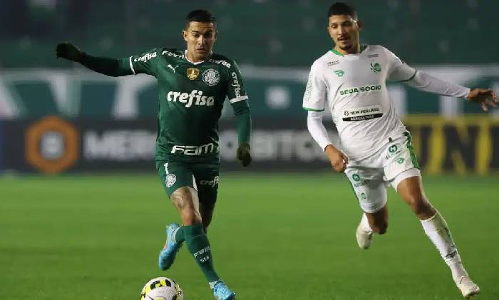 Nhận định, soi k&egrave;o Palmeiras vs Esporte Clube Juventude, 04h30 ng&agrave;y 24/6: Đ&aacute;nh chiếm ng&ocirc;i đầu bảng