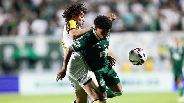 Nhận định, soi k&egrave;o Novorizontino vs Goias, 05h00 ng&agrave;y 24/7: Tin v&agrave;o cửa dưới
