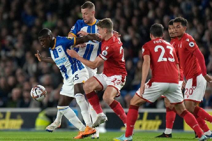 Nhận định, soi k&egrave;o Brighton vs Nottingham, 20h00 ng&agrave;y 22/9: Tiếp đ&agrave; bất bại