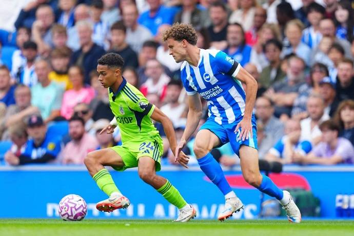 Nhận định, soi k&egrave;o Fulham vs Brighton, 22h00 ng&agrave;y 24/1: Điểm tựa s&acirc;n nh&agrave;