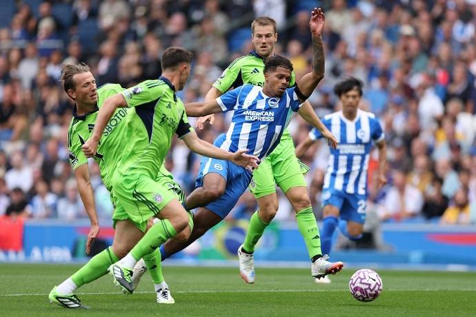 Si&ecirc;u m&aacute;y t&iacute;nh dự đo&aacute;n Fulham vs Brighton, 22h00 ng&agrave;y 24/1