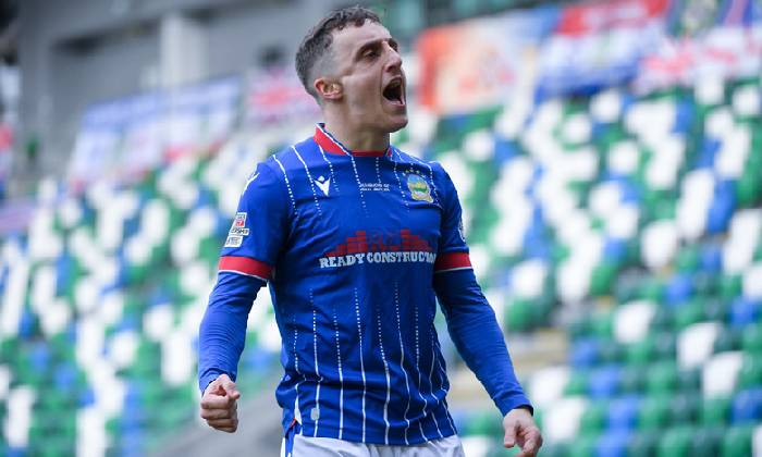 Nhận định, soi k&egrave;o Dungannon Swifts vs Linfield, 03h00 ng&agrave;y 25/3: Kết quả dễ đo&aacute;n