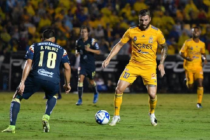Nhận định, soi k&egrave;o Tigres UANL vs Club Am&eacute;rica, 7h00 ng&agrave;y 24/4