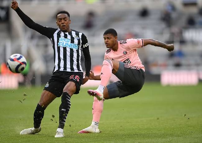 Soi k&egrave;o phạt g&oacute;c Sheffield United vs Newcastle, 22h30 ng&agrave;y 24/9	