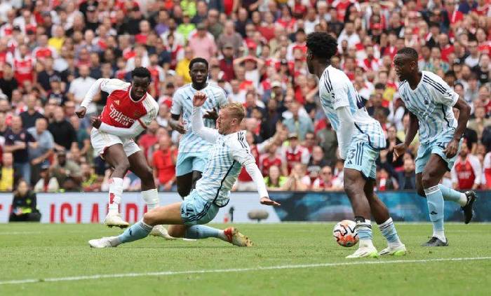 Link xem trực tiếp Arsenal vs Nottingham Ngoại hạng Anh 22h00 ng&agrave;y 23/11