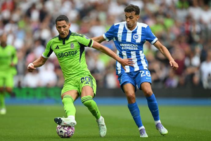 Soi k&egrave;o g&oacute;c Fulham vs Brighton, 22h00 ng&agrave;y 24/01