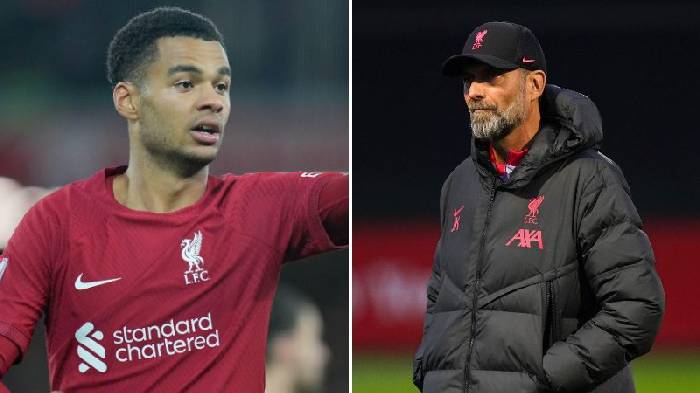 Tin Liverpool s&aacute;ng 24/3: Gakpo b&aacute;o hung tin; Ch&iacute;nh thức hỏi mua Bellingham