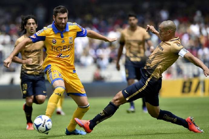 Nhận định, soi k&egrave;o Tigres UANL vs UNAM Pumas, 7h ng&agrave;y 26/9