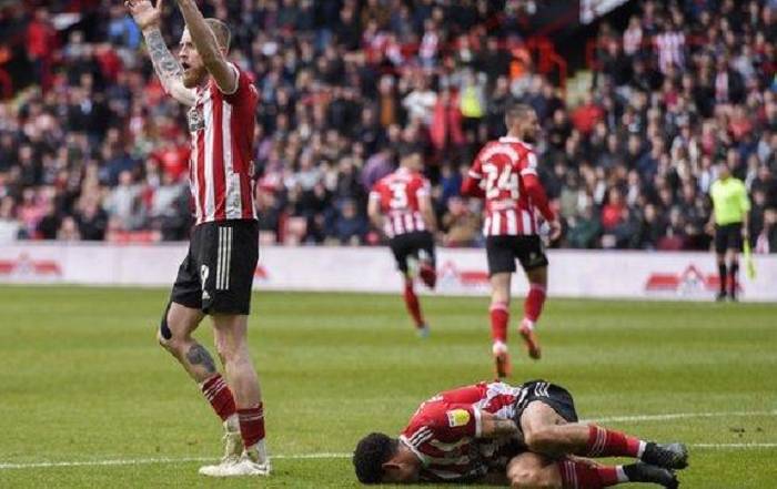 Nhận định, soi k&egrave;o Sheffield United vs Bournemouth, 22h00 ng&agrave;y 25/11