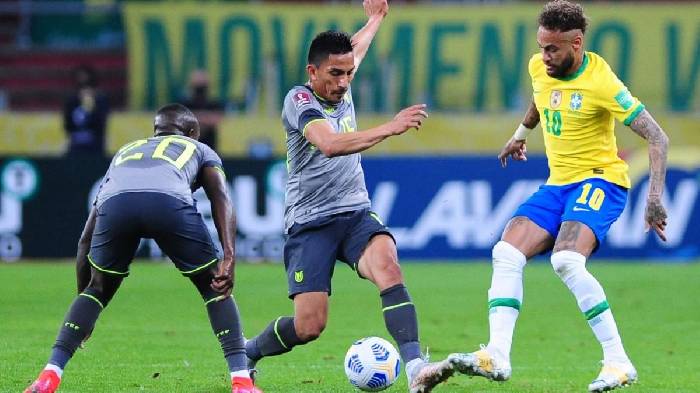 Dự đo&aacute;n, soi k&egrave;o thẻ v&agrave;ng Brazil vs Ecuador, 4h ng&agrave;y 28/6