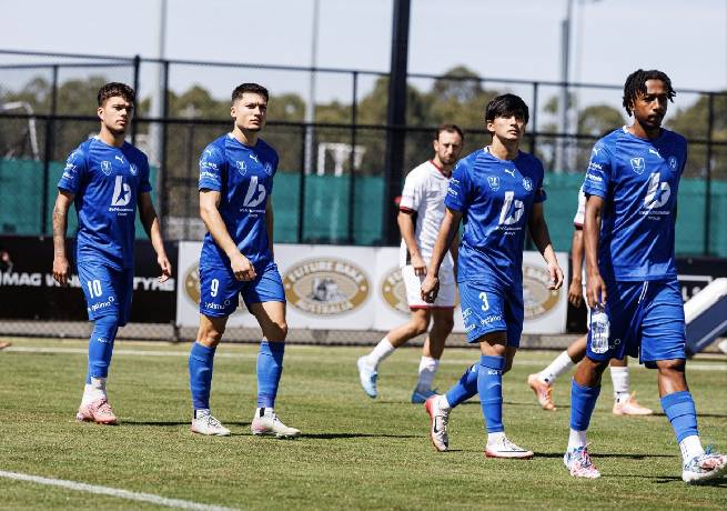 Nhận định, soi k&egrave;o Brunswick City vs FC Bulleen Lions, 16h00 ng&agrave;y 27/3: Th&ecirc;m một lần đau
