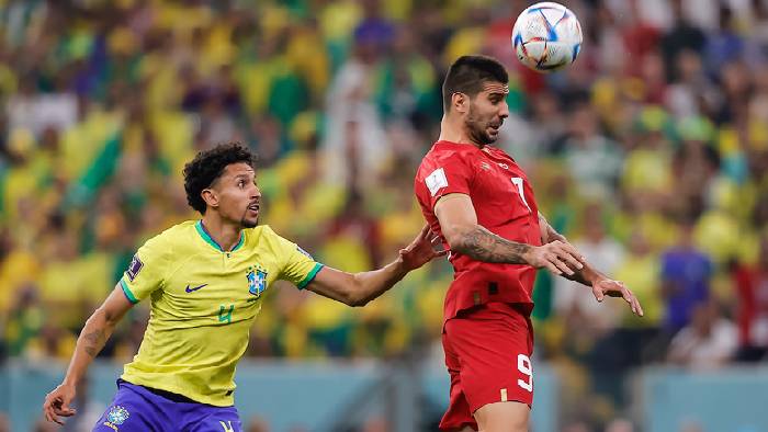 Th&ocirc;ng tin lực lượng mới nhất Cameroon vs Serbia, 17h ng&agrave;y 28/11