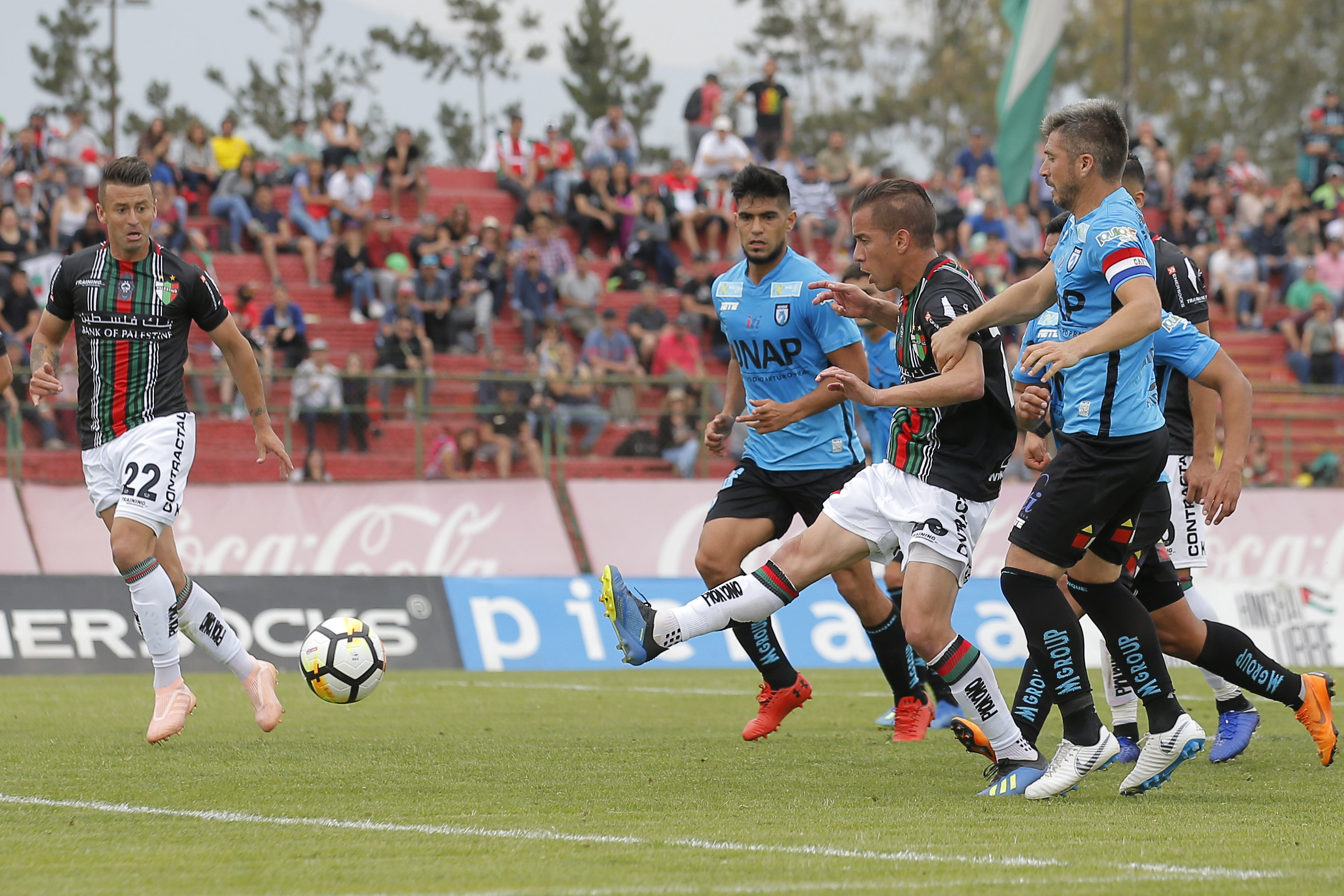 Nhận định Deportes Iquique vs Palestino, 20h30 ng&agrave;y 28/12