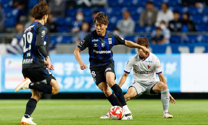 Nhận định, soi k&egrave;o Albirex Niigata vs Gamba Osaka, 12h00 ng&agrave;y 28/5