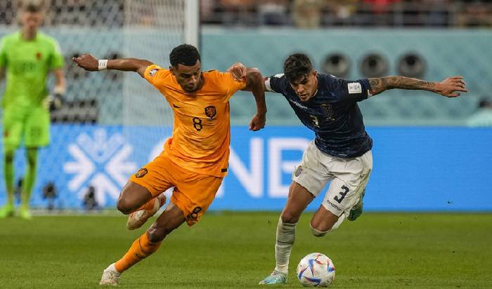 Lịch sử đối đầu Ecuador vs Senegal, 22h ng&agrave;y 29/11