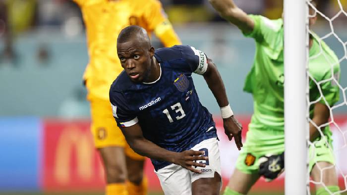 Th&ocirc;ng tin lực lượng mới nhất Ecuador vs Senegal, 22h ng&agrave;y 29/11