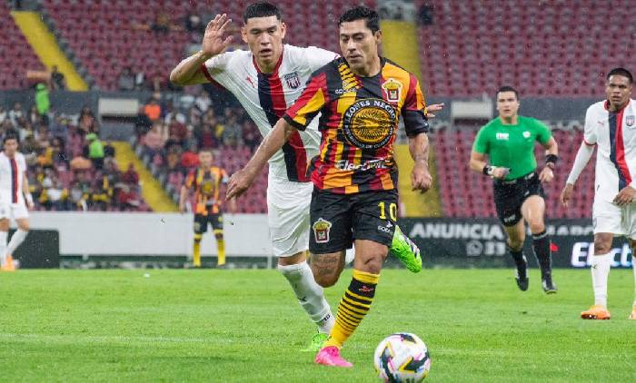 Nhận định, soi k&egrave;o Leones Negros vs Tapatio, 7h00 ng&agrave;y 28/12: Nhiều duy&ecirc;n nợ