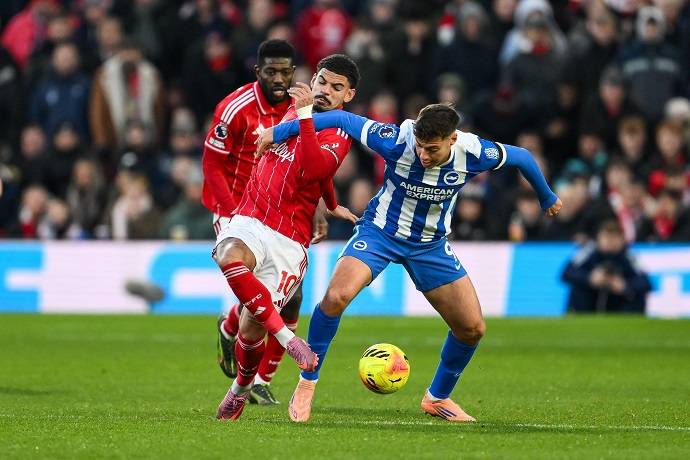 Nhận định, soi k&egrave;o Brighton vs Nottingham, 21h00 ng&agrave;y 1/3: Nỗ lực trụ hạng