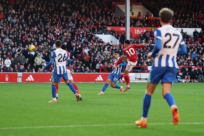 Si&ecirc;u m&aacute;y t&iacute;nh dự đo&aacute;n Brighton vs Nottingham, 21h00 ng&agrave;y 1/3