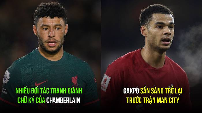 Tin Liverpool s&aacute;ng 28/3: Gakpo sẵn s&agrave;ng trở lại; Nhắm 'vua cố định' Premier League