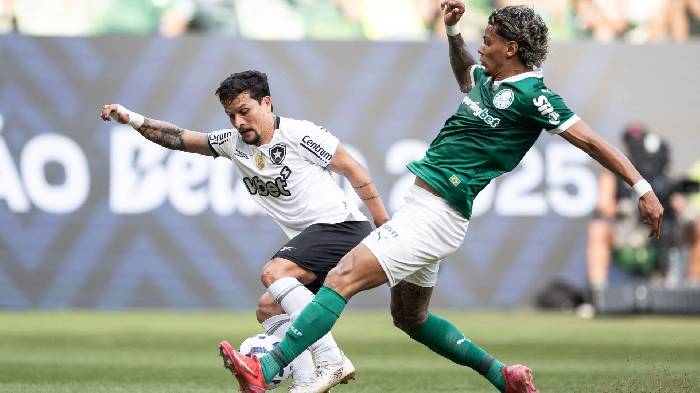 Si&ecirc;u m&aacute;y t&iacute;nh dự đo&aacute;n Palmeiras vs Botafogo, 23h00 ng&agrave;y 28/6