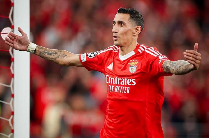 Nhận định, soi k&egrave;o Sporting Lisbon vs Benfica, 03h30 ng&agrave;y 30/12: Lời khẳng định của Benfica