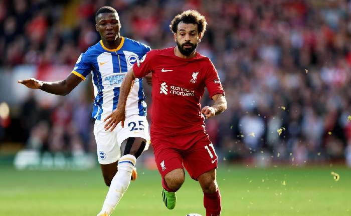 Nhận định, soi k&egrave;o Brighton vs Liverpool, 20h30 ng&agrave;y 29/1