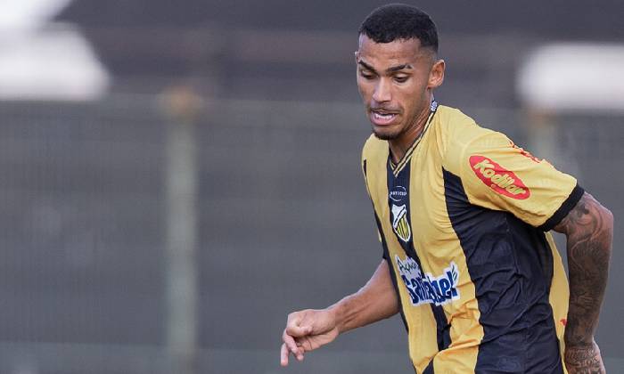 Nhận định, soi k&egrave;o Novorizontino vs Amazonas, 05h00 ng&agrave;y 30/6: Cửa tr&ecirc;n đ&aacute;ng tin