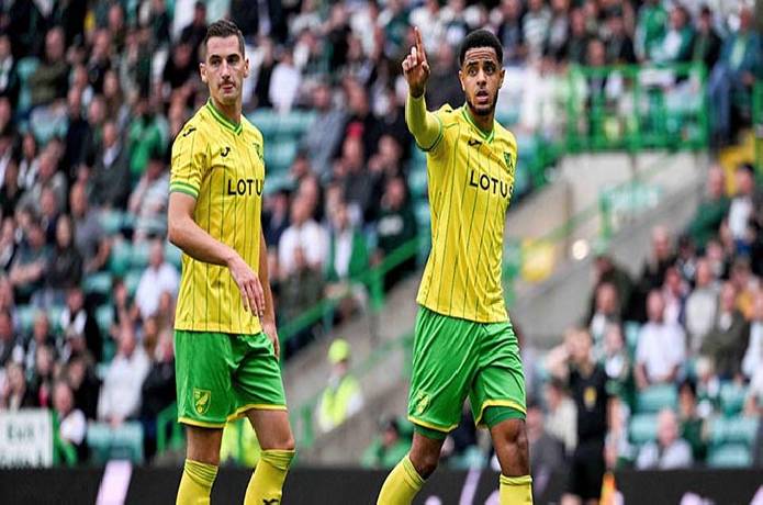 Tip k&egrave;o miễn ph&iacute; chất lượng cao h&ocirc;m nay ng&agrave;y 30/07: Cardiff vs Norwich