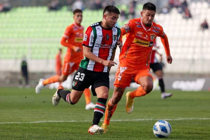 Nhận định, soi k&egrave;o Cobreloa vs Palestino, 7h00 ng&agrave;y 30/7: Mồi ngon kh&oacute; bỏ