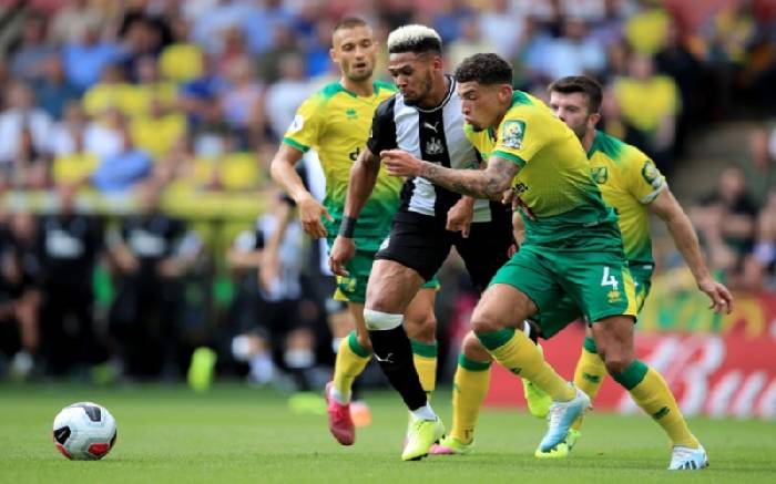 Biến động tỷ lệ k&egrave;o Newcastle vs Norwich, 2h30 ng&agrave;y 1/12