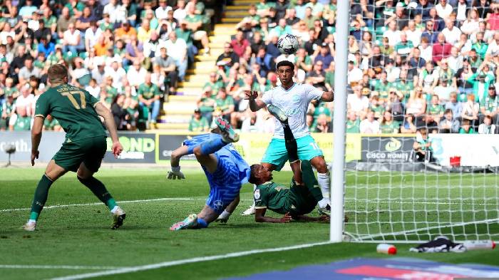 Nhận định, soi k&egrave;o Southampton vs Plymouth, 01h00 ng&agrave;y 30/12