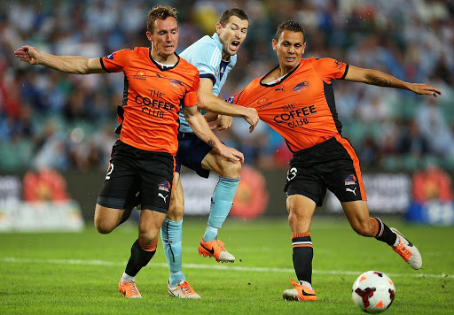 Đội h&igrave;nh dự kiến Sydney vs Brisbane Roar, 15h30 ng&agrave;y 31/1
