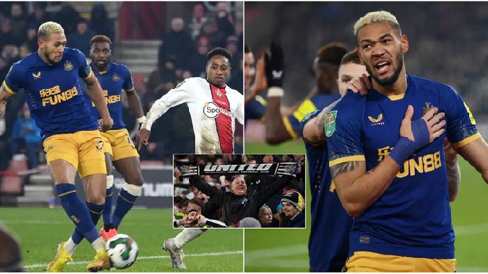 Dự đo&aacute;n, soi k&egrave;o thẻ v&agrave;ng Newcastle vs Southampton, 3h ng&agrave;y 1/2