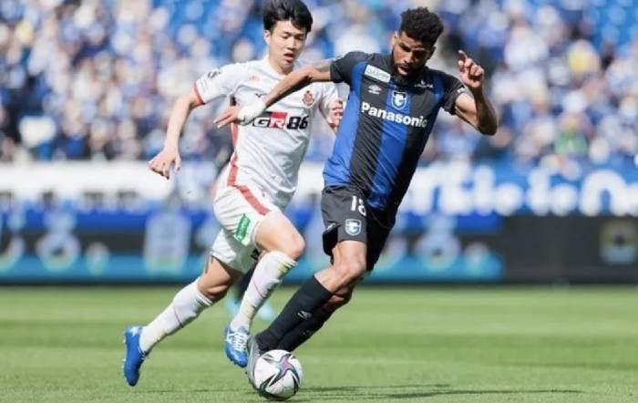 Nhận định, soi k&egrave;o Shonan Bellmare vs Gamba Osaka, 17h00 ng&agrave;y 31/8: Shonan Bellmare ch&igrave;m s&acirc;u