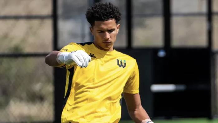 Nhận định, soi k&egrave;o Lion City Sailors vs Selangor, 17h00 ng&agrave;y 1/10: Yếu thế xa nh&agrave;