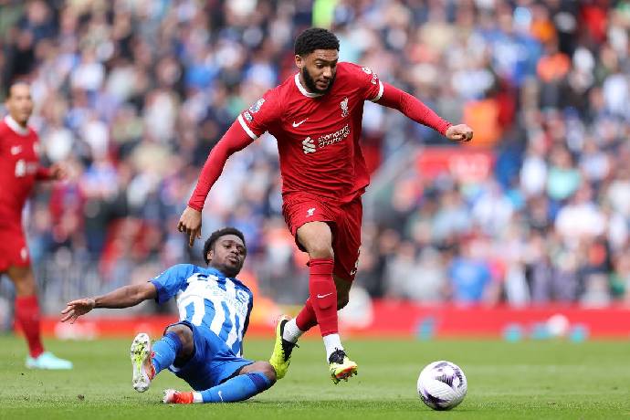 Link xem trực tiếp Brighton vs Liverpool c&uacute;p Li&ecirc;n đo&agrave;n 02h30 ng&agrave;y 31/10
