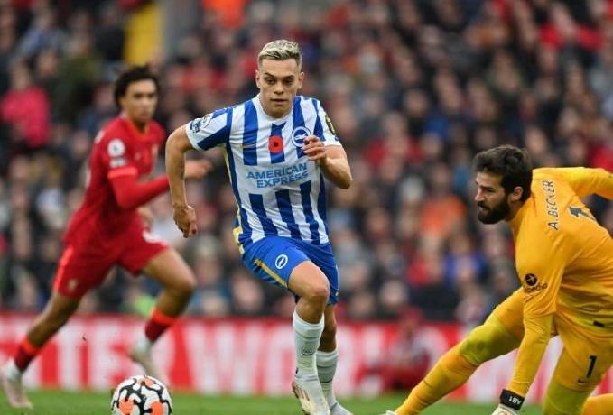 Nhận định, soi k&egrave;o Brighton vs Liverpool, 2h30 ng&agrave;y 31/10: Tiếp đ&agrave; bất bại