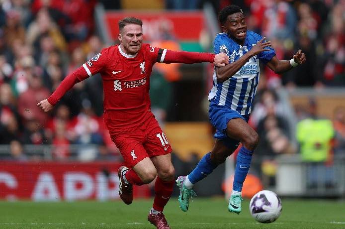 Si&ecirc;u m&aacute;y t&iacute;nh dự đo&aacute;n Brighton vs Liverpool, 02h30 ng&agrave;y 31/10