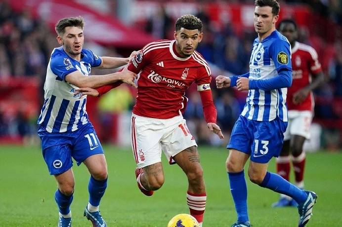 Nhận định, soi k&egrave;o Nottingham Forest vs Brighton, 21h05 ng&agrave;y 30/11: Đất l&agrave;nh chim đậu