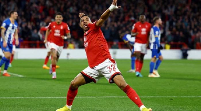Chuy&ecirc;n gia Tony Ansell dự đo&aacute;n Nottingham vs Brighton, 19h30 ng&agrave;y 1/2