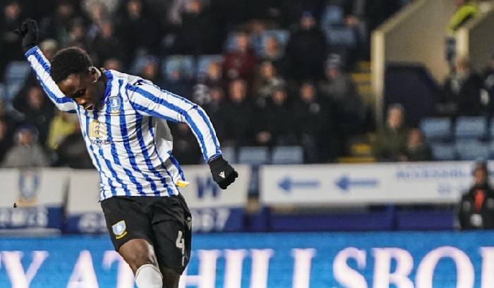 Nhận định, soi k&egrave;o Sheffield Wednesday vs Luton, 22h00 ng&agrave;y 1/2: Kh&oacute; tin cửa dưới