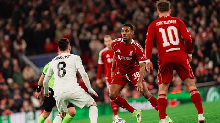 Nhận định, soi k&egrave;o Liverpool vs Newcastle, 3h ng&agrave;y 1/2: T&igrave;m lại