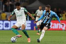 Nhận định, soi k&egrave;o Palmeiras vs Gremio, 7h30 ng&agrave;y 3/4: Giữ chắc ng&ocirc;i đầu