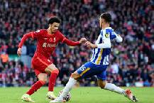 Link xem trực tiếp Liverpool vs Brighton Ngoại hạng Anh 22h00 ng&agrave;y 2/11