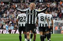 Nhận định, soi k&egrave;o West Ham vs Newcastle, 21h00 ng&agrave;y 2/11: Nghiền n&aacute;t b&uacute;a tạ