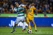 Nhận định, soi k&egrave;o Tigres UANL vs Santos Laguna, 8h00 ng&agrave;y 7/2: V&ugrave;i dập